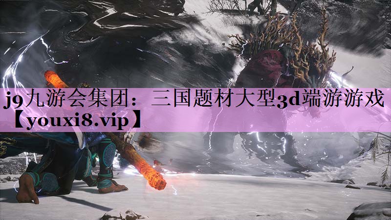 j9九游会集团：三国题材大型3d端游游戏