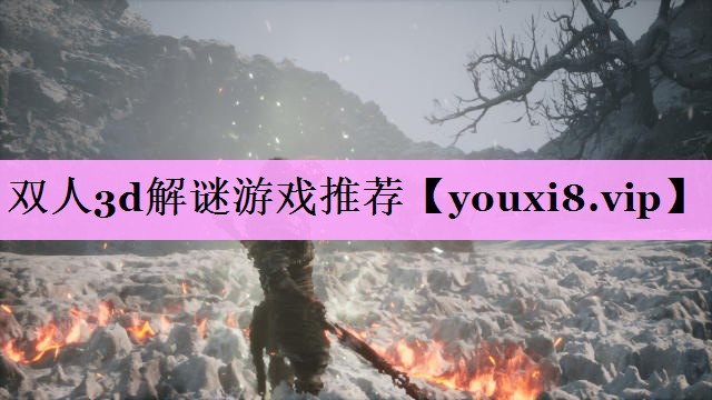 双人3d解谜游戏推荐