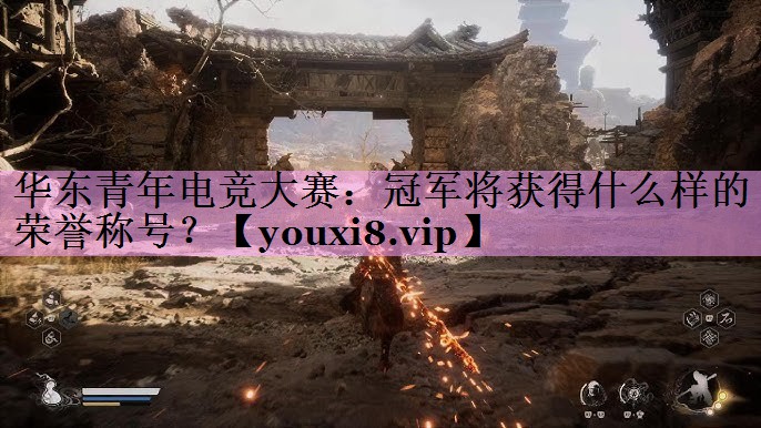 华东青年电竞大赛:冠军将获得什么样的荣誉称号? 华东青年电竞大赛:冠军将获得什么样的荣誉称号?