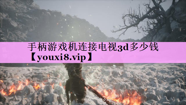 手柄游戏机连接电视3d多少钱 手柄游戏机连接电视3d多少钱