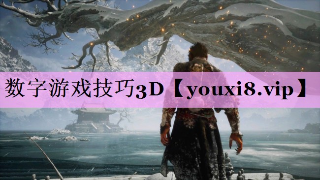 数字游戏技巧3D 数字游戏技巧3D